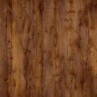 Таксония Шоколадная