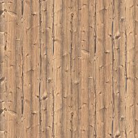 Пихта Серебристая