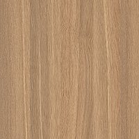 Дуб Честерфилд 003