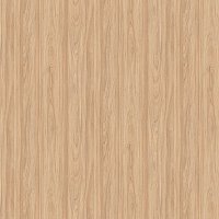 Вяз Швейцарский светлый